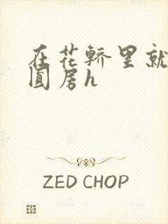 在花轿里就开始圆房h