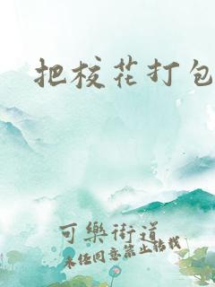 把校花打包带走