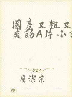 国产又粗又黄又爽的A片小说