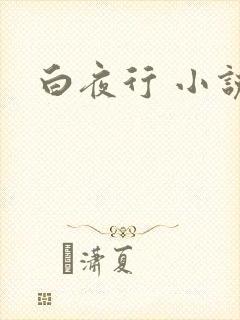 白夜行 小说