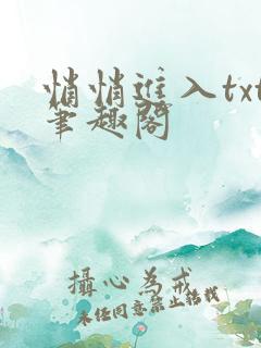 悄悄进入txt笔趣阁