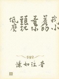低头看着我是怎么玩你的小说