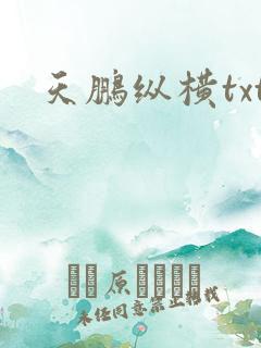 天鹏纵横txt