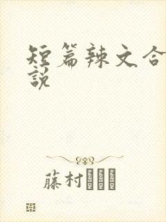 短篇辣文合集小说