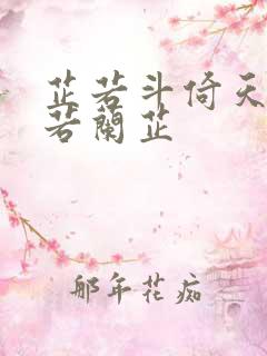 芷若斗倚天-雅若兰芷