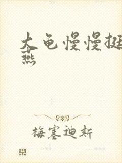大龟慢慢挺进张燕