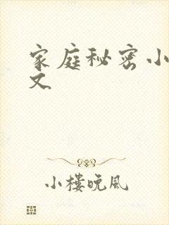 家庭秘密小说全文