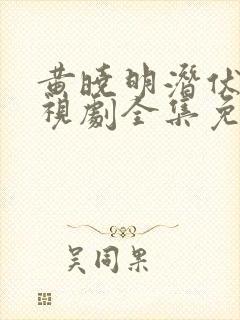 黄晓明潜伏者电视剧全集免费观看