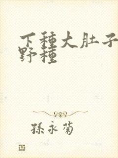 下种大肚子怀孕野种