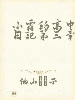 小霜的高中成长日记第三章