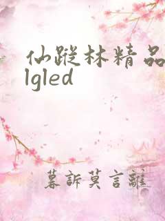 仙踪林精品zzlgled