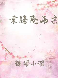 袁腾飞两宋风云