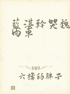 蓝湛干哭魏无羡肉车