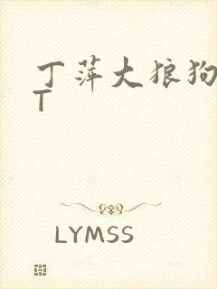 丁萍大狼狗TXT
