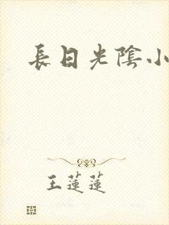 长日光阴小说