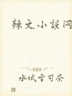 辣文小说网