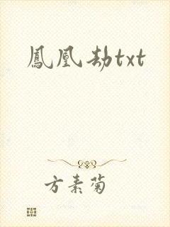凤凰劫txt