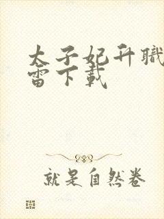 太子妃升职记迅雷下载