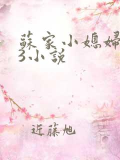 苏家小媳妇1V3小说