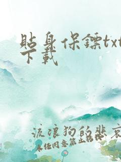 贴身保镖txt下载