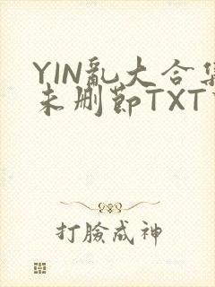 YIN乱大合集未删节TXT下载