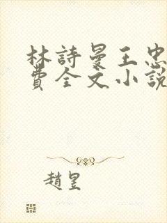 林诗曼王忠文免费全文小说的名称