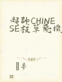 超帅CHINESE校草飞机BLUE