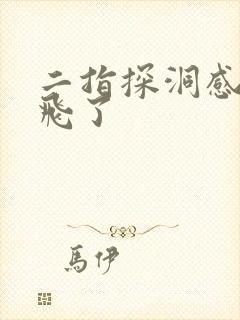 二指探洞感觉要飞了