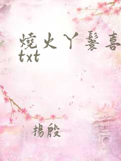 烧火丫鬟喜洋洋txt