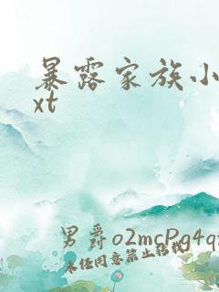 暴露家族小说txt