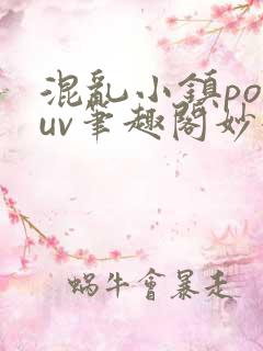 混乱小镇popuv笔趣阁妙妙