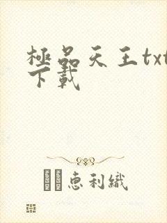 极品天王txt下载