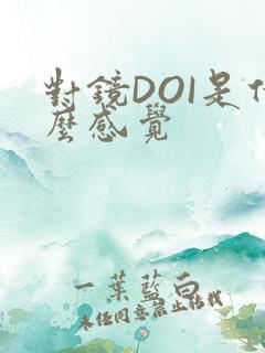 对镜DOI是什么感觉