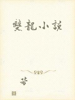 双龙小说