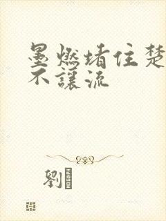 墨燃堵住楚晚宁不让流