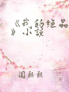 《我的绝品韵母》小说