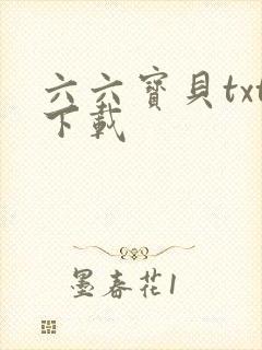 六六宝贝txt下载