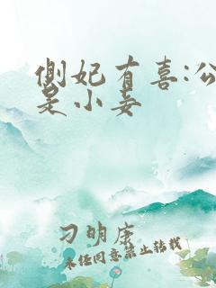 侧妃有喜:公主是小妾