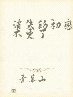 消失的初恋为啥不更了