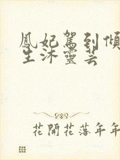 凤妃驾到倾倒众生沐灵芸