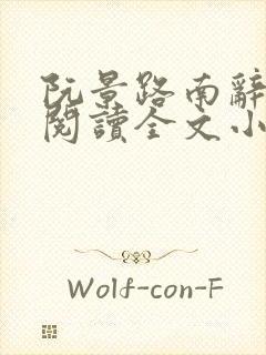 阮景路南辞免费阅读全文小说