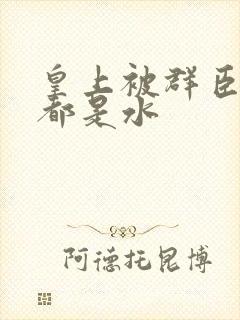 皇上被群臣干的都是水