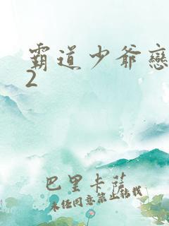 霸道少爷恋上我2