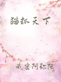猫抓天下