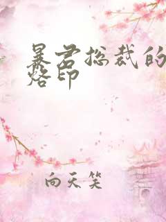 暴君总裁的狂烈烙印