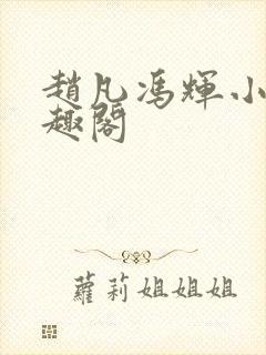 赵凡冯辉小说笔趣阁