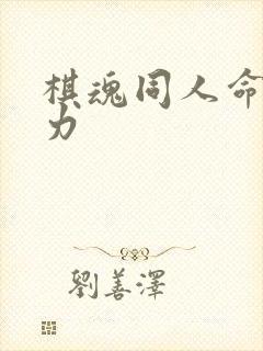 棋魂同人命运之力