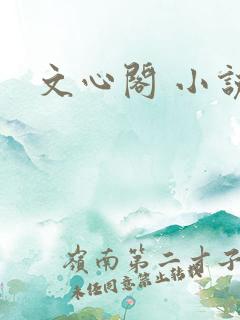 文心阁 小说