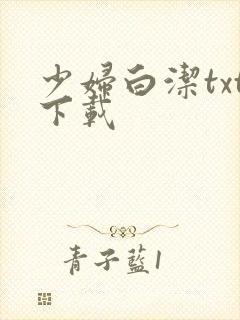 少妇白洁txt下载