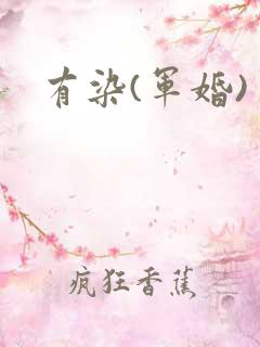 有染(军婚)